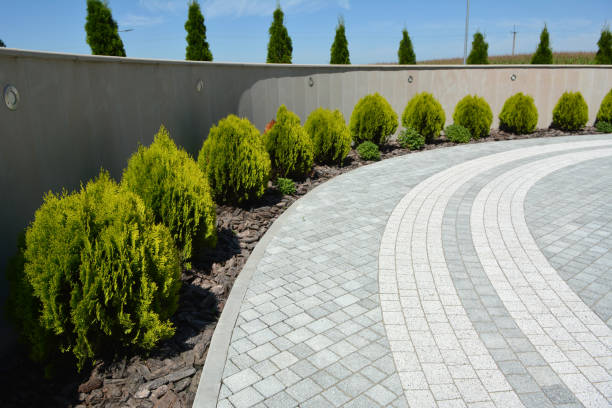 Best Concrete Paver Driveway  in Ironton, MO